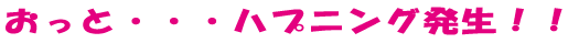 おっと・・・ハプニング発生！！