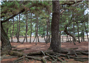 風景1