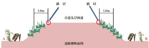 活動内容