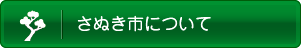 さぬき市について