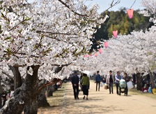 県立亀鶴公園