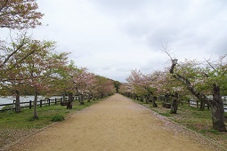 県立亀鶴公園遠景