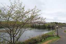みろく自然公園遠景