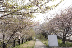 前山ダム公園遠景