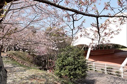 みろく自然公園近景