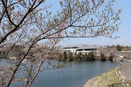 みろく自然公園遠景