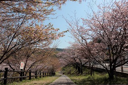 前山ダム公園遠景