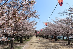 県立亀鶴公園近景