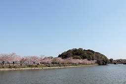 県立亀鶴公園遠景