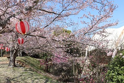 みろく自然公園近景