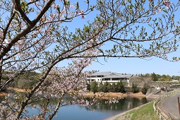 みろく自然公園遠景