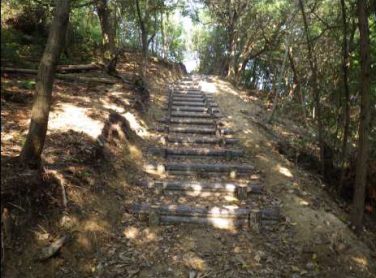 さぬきの森森林浴公園3