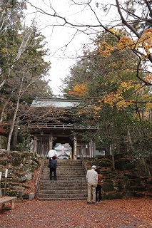 紅葉情報 香川県 さぬき市 紅葉情報 香川県 さぬき市