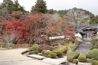 紅葉情報 香川県 さぬき市 紅葉情報 香川県 さぬき市