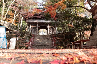 二天文前紅葉