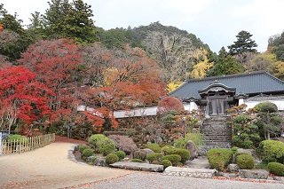 大窪寺紅葉