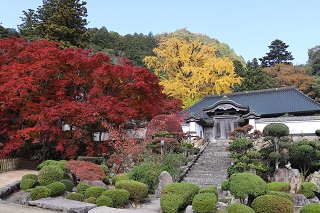 大窪寺紅葉