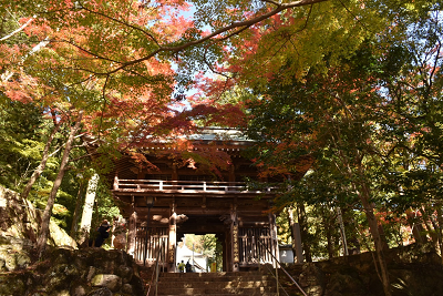 大窪寺紅葉画像5_2019