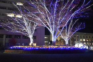 徳島文理大学イルミネーション画像6_2020