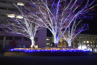 徳島文理大学イルミネーション画像1_2020