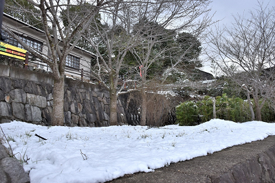 道の駅ながおの積雪画像2_2021