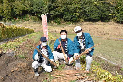 自然薯初堀り収穫