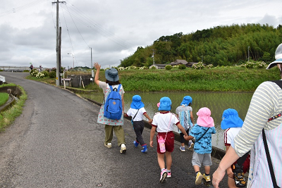 あじさい夢ロードに向かう造田幼稚園の園児たち