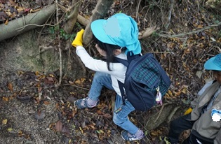 山登りをする園児3