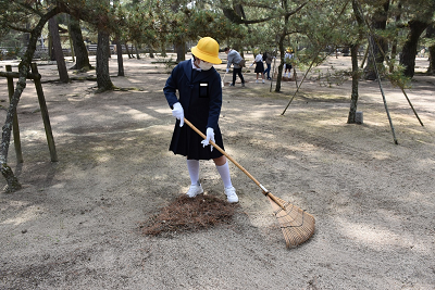 松原の清掃活動の様子1