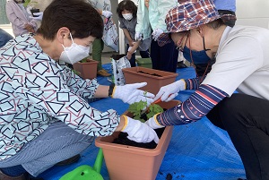 緑のカーテン実演