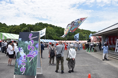 ショウブまつりの様子