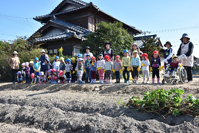 サツマイモが植わっている畑を見る園児ら1