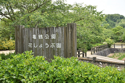 亀鶴公園ハナショウブ園入口の看板