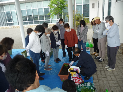 緑のカーテン実演1