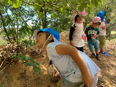造田幼稚園園外保育の様子2